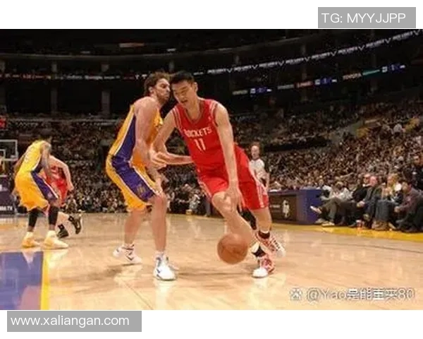 姚明在篮球场上的传奇与人生旅程的深刻印象 姚明在篮球场上的传奇与人生旅程的深刻印象